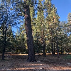 Meet your Posher, Zoe